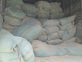 Trấu nghiền chứa trong bao