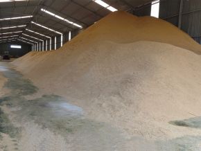 Vỏ trấu được lưu trữ trong kho có mái che